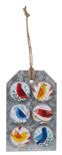 Colorful Bird Magnet Set