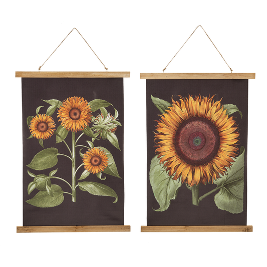 Scroll Sunflower Canvas Print